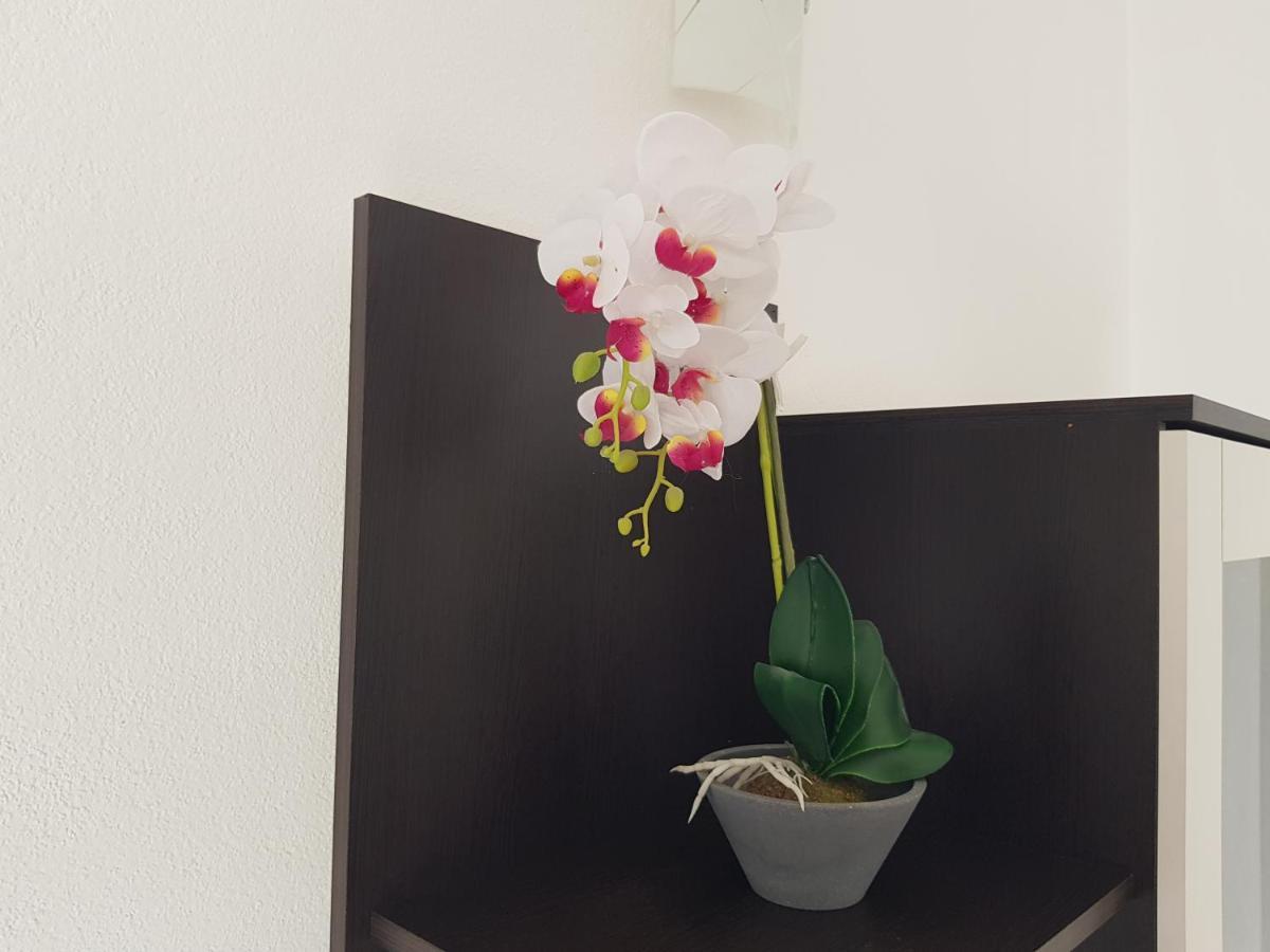 Apartman Mia With Pool1 Split Eksteriør bilde